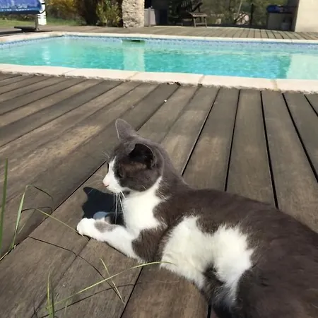 La Chouette